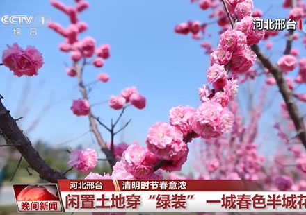 央視一套CCTV-1《晚間新聞》報道邢臺園博園