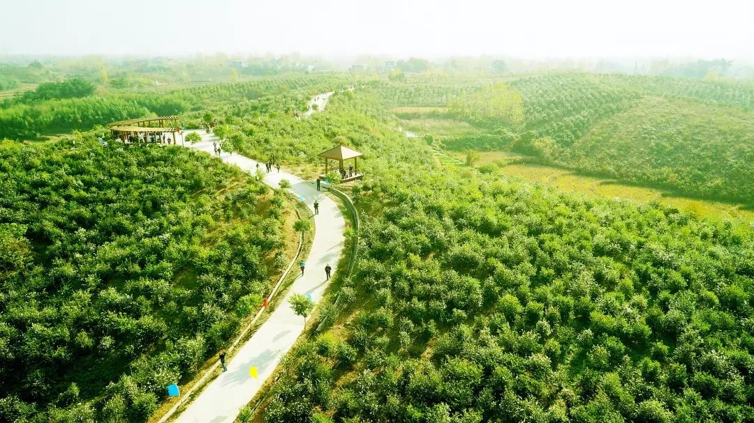  為“國(guó)油”產(chǎn)業(yè)化插上智能科技的翅膀〡東旭藍(lán)天積極探索兩化融合，油茶產(chǎn)業(yè)邁向工廠智能化