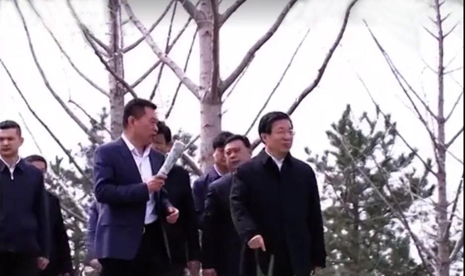 大放異彩 | 河北省省委書記、省人大常委會主任王東峰、副省長張古江調(diào)研邢臺園博園